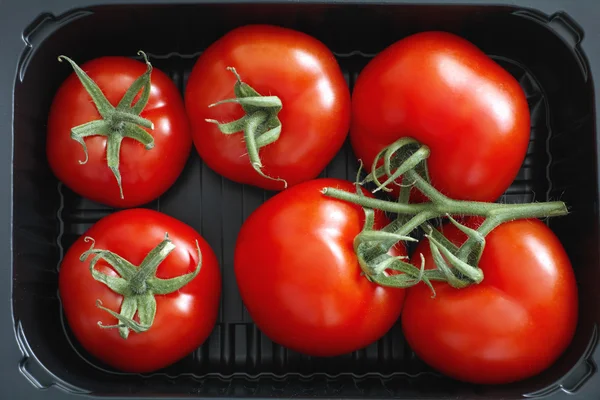 Fresh organic tomatoes — Stock Photo, Image