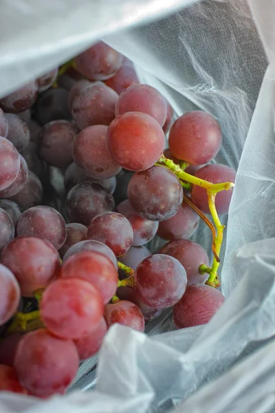 Röda druvor i en plastpåse — Stockfoto