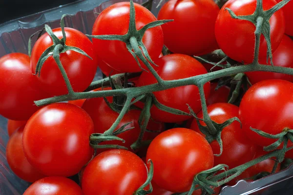 Bio-Kirschtomaten — Stockfoto