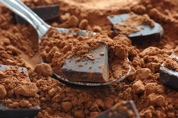 Polvo de cacao crudo ecológico con chocolate —  Fotos de Stock