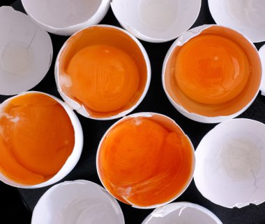 kırık tavuk yumurtası