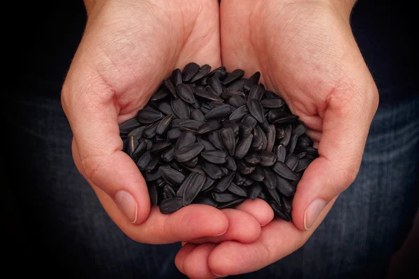 Woman holds fresh sunflower seeds in her palms — Zdjęcie stockowe