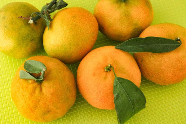 Čerstvé organické mandarinky — Stock fotografie