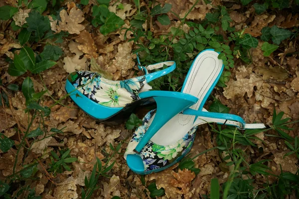 Piękne lato buty — Zdjęcie stockowe