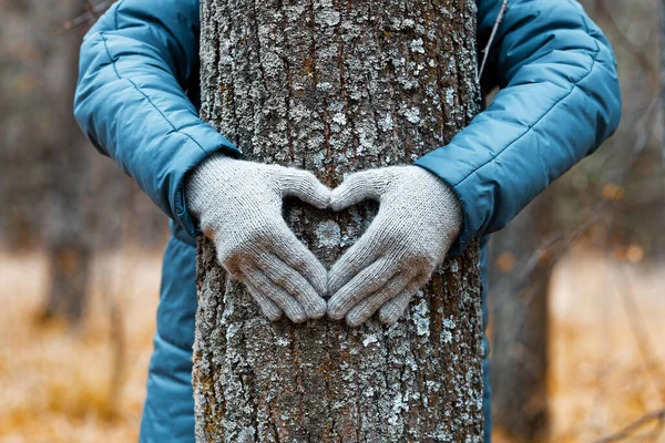 Womans hands is hugging the tree and make a heart sign on tree trunk against autumn nature blurred background