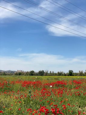 Yeşil, Mavi ve Kırmızı Manzara