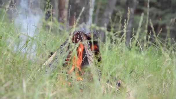 Man Tända Låga Tända Eld Med Flintbrasa Skogen — Stockvideo