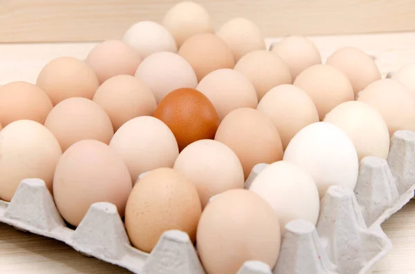 one brown egg among white eggs in a cardboard box