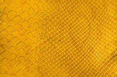 doku sarı madde taklit deri yakın çekim