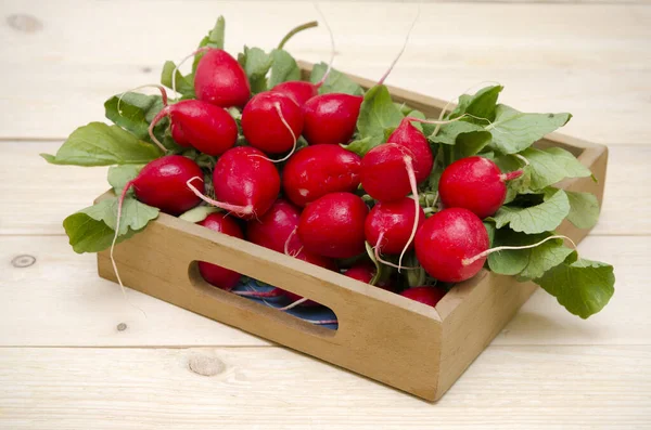 Fresh Red Radish Wooden Box — Stock Photo, Image