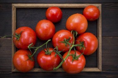 Koyu ahşap bir zeminde, dalda domatesler.