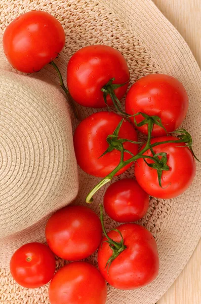 収穫したばかりのトマトの美しい夏のイメージ — ストック写真