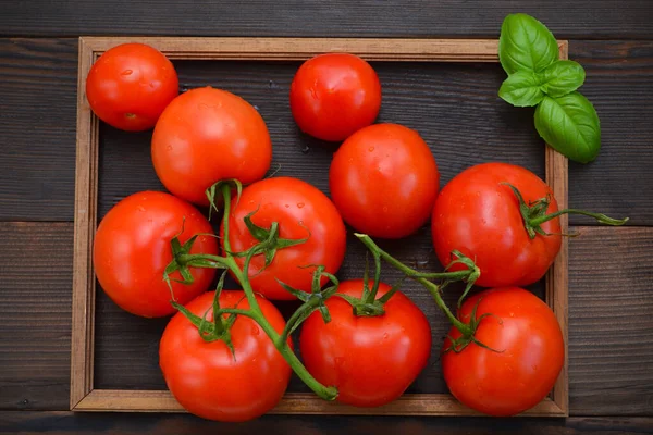 Tomat Dan Kemangi Pada Latar Belakang Kayu Dalam Bingkai — Stok Foto