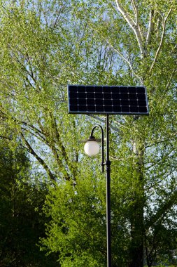 Yeşil ağaçların arka planında güneş enerjili sokak lambası