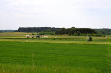 Traktör kırsalda saman balyaları topluyor.
