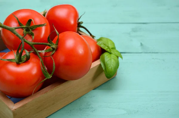 Brillante Imagen Verano Tomates Rojos Sobre Fondo Verde — Foto de Stock