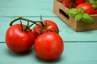 Mavi arka plandaki dalda taze domatesler.