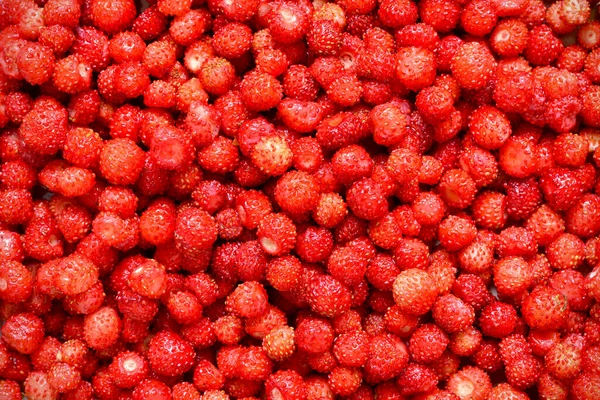 Bayas Rojas Fresa Silvestre Fondo Natural Sin Costuras — Foto de Stock