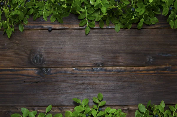 Holzhintergrund Mit Zweigen Und Beeren Von Blaubeeren Und Platz Für — Stockfoto