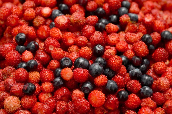 Forest Berries Wild Strawberries Blueberries Close Natural Background — Stock Photo, Image
