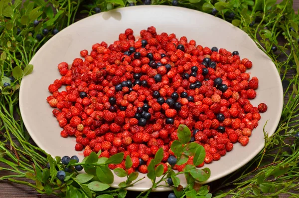 Fresas Arándanos Silvestres Plato — Foto de Stock