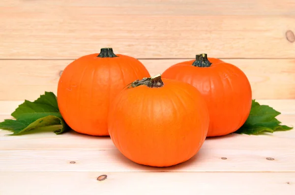 Pompoenen Voor Oogstdag Een Lichte Achtergrond — Stockfoto