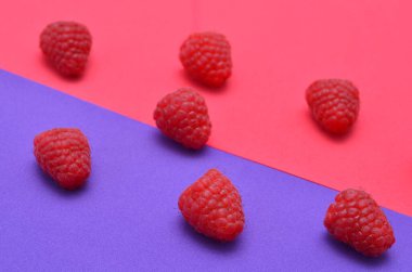 Pembe ve mor renkli arka plan, ahudududulu yakın plan.