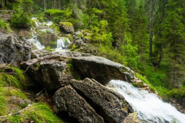 Ağaçlar ve bitkilerle dolu yeşil ormanın şelalelerindeki kayalar ve taşlar.