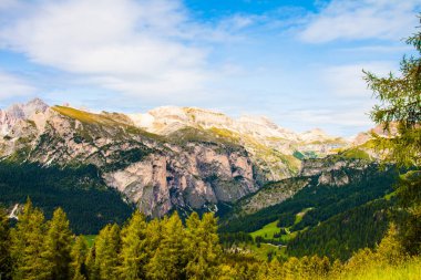 Dolomitlerin kayalık dağlarının çam ormanlarından yeşil vadiyi görün İtalya, güney Tyrol, yaz zamanı