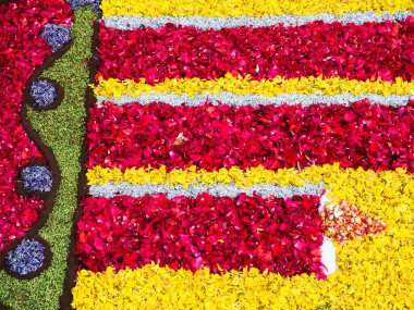 Geleneksel bir festivalde rengarenk çiçek yapraklarından yapılmış bir halı.