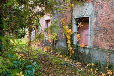 Eski bir köyde terk edilmiş eski bir evin pencereleri, bir sonbahar manzarasının atmosferine daldırılmıştı.