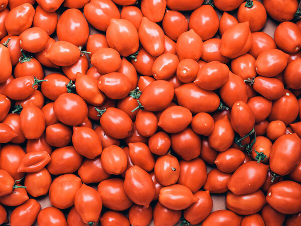 pattern texture, of freshly picked Italian red tomatoes in the vegetable garden