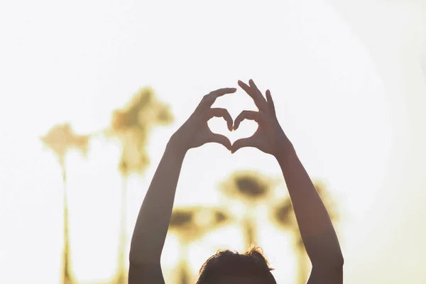 Dos Manos Dedos Palmas Dobladas Forma Corazón Sobre Fondo Puesta — Foto de Stock