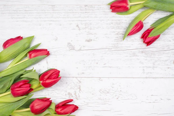 Праздничный фон белой деревянной поверхности с рамкой из красных тюльпанов. Цветочный фон для поздравлений, приглашений. Макет, образец для поздравительной открытки — стоковое фото