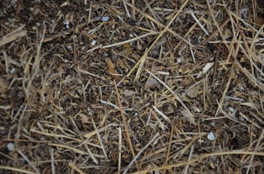 Provenkal yollarda tipik kuru toprak