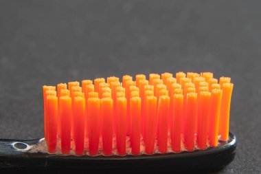 Siyah başlıklı, turuncu tüylü diş fırçası siyah arka plana yakın.