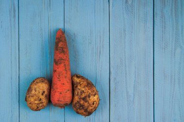 Concept of sex, erection, potency. Carrot with potatoes arranged in the shape of a penis on a blue board.