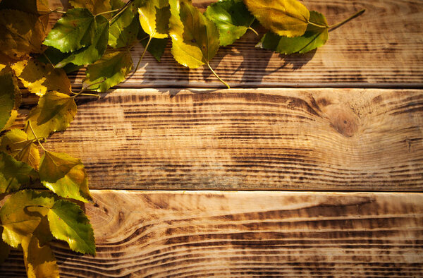 Autumn leaves on a burnt old brown wooden background. Yellow and red leaves texture on brown wood top view with copy space