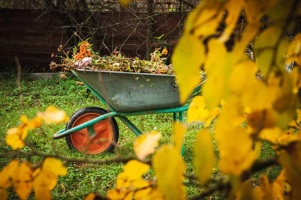 Una Carretilla Robusta Acero Jardín Con Basura Jardín Concepto Preparación — Foto de Stock