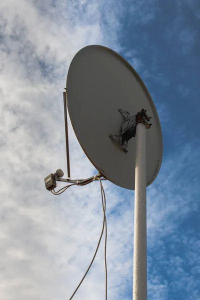 Satellitenschüssel Aus Nächster Nähe Wolkenverhangenen Himmel — Stockfoto