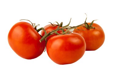 Beyaz arkaplanda kırmızı çiğ domatesler. Üst görünüm