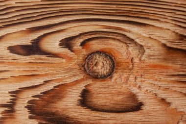 Ortadaki bir düğümle ateş edip fırçaladıktan sonra bir çam ağacının dokusu. Arkaplan resmi