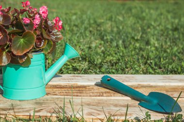 Begonya çiçekli dekoratif yeşil bir sulama kutusu yanmış tahtaların üzerinde çimenlerin arkasında duruyor. Yakınlarda bir kürek toprak var. Metin için yer