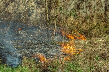 The grass burns, leaving behind smoke and ash. The concept of careless handling of fire