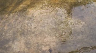 İnce yağmur damlaları, beton yüzeyi görebileceğiniz bir su birikintisine düşer. Fırtınalı bir nisan günü