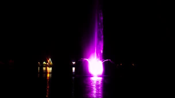 Fountain Middle Lake Colorful Lighting Beautiful Reflection Water Night City — Video Stock