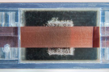Part of the audio tape close-up. Worn magnetic tape and a pressure mechanism with a felt pad. Macro