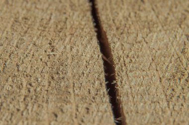 Makro görüntüde çatlak olan bir ağacın yüzeyinin yapısı. Seçici odaklanma. Arkaplan resmi