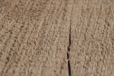 Ahşap yüzeyin pürüzsüz yapısı ve makro görüntüde küçük bir çatlak. Seçici odaklanma. Arkaplan resmi