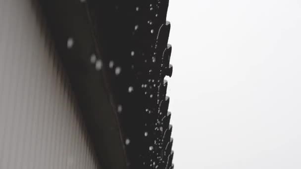 Потоки Дощової Води Течуть Сланцевого Даху Приватного Будинку Рух Камери — стокове відео